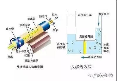 薄膜水泵（关于“薄膜水泵”的问题） 斑马鸭嘴鱼 第2张