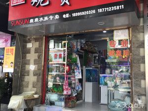 观赏鱼店铺介绍文案（北京星辰观赏鱼店）