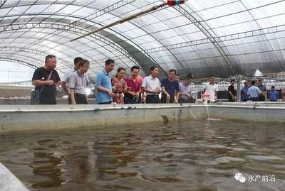 海南海水观赏鱼繁殖基地（海南海水观赏鱼繁殖基地是海水观赏鱼产业的重要性）