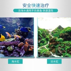 观赏鱼治疗内寄（如何治疗观赏鱼内寄的自然疗法） 网上购买观赏鱼 第4张