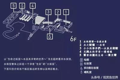 观赏鱼养殖场平面图怎么画（观赏鱼养殖场平面图怎么画观赏鱼养殖场平面图怎么画） 锦鲤池鱼池建设 第4张