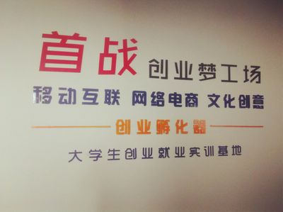 国内孵化器（中国孵化器的发展）