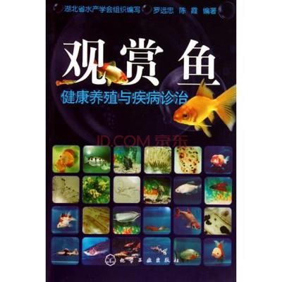 观赏鱼的养殖方法和注意事项（《观赏鱼饲养大全(第二版)》观赏鱼养殖方法） 观赏鱼饲料 第1张