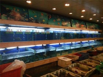 广州水族批发市场有哪些地方卖海鲜的（广州十大海鲜批发市场） 鱼缸风水 第3张