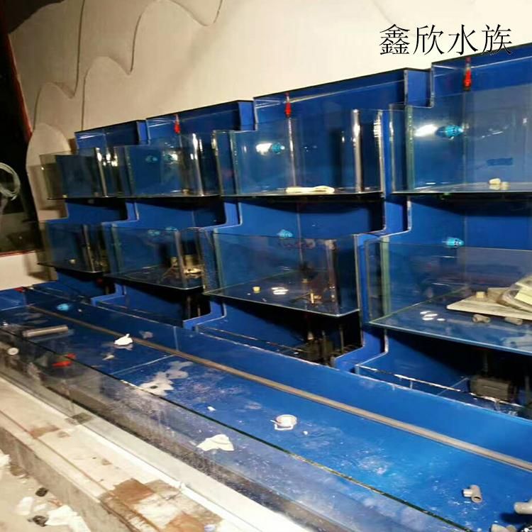 广州水族批发市场有哪些地方卖海鲜的（广州十大海鲜批发市场） 鱼缸风水 第4张