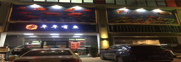 观赏鱼连锁店排名前十名有哪些（观赏鱼连锁店排名前十名） 双线侧鱼 第1张