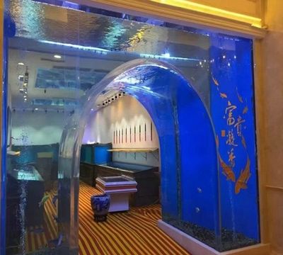 广州金鱼缸定做厂家（广州水族市场探秘广州水族市场探秘广州水族市场探秘）