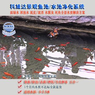 观赏鱼水池怎么净化（观赏鱼水池净化技术） 观赏鱼水族批发市场 第1张