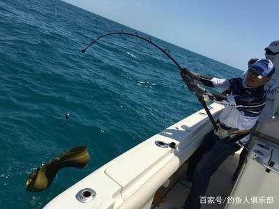 钓鲨鱼（全球钓鲨鱼大赛全球各地举办的各种钓鲨鱼大赛不仅是竞技舞台） 红魔王银版鱼 第4张