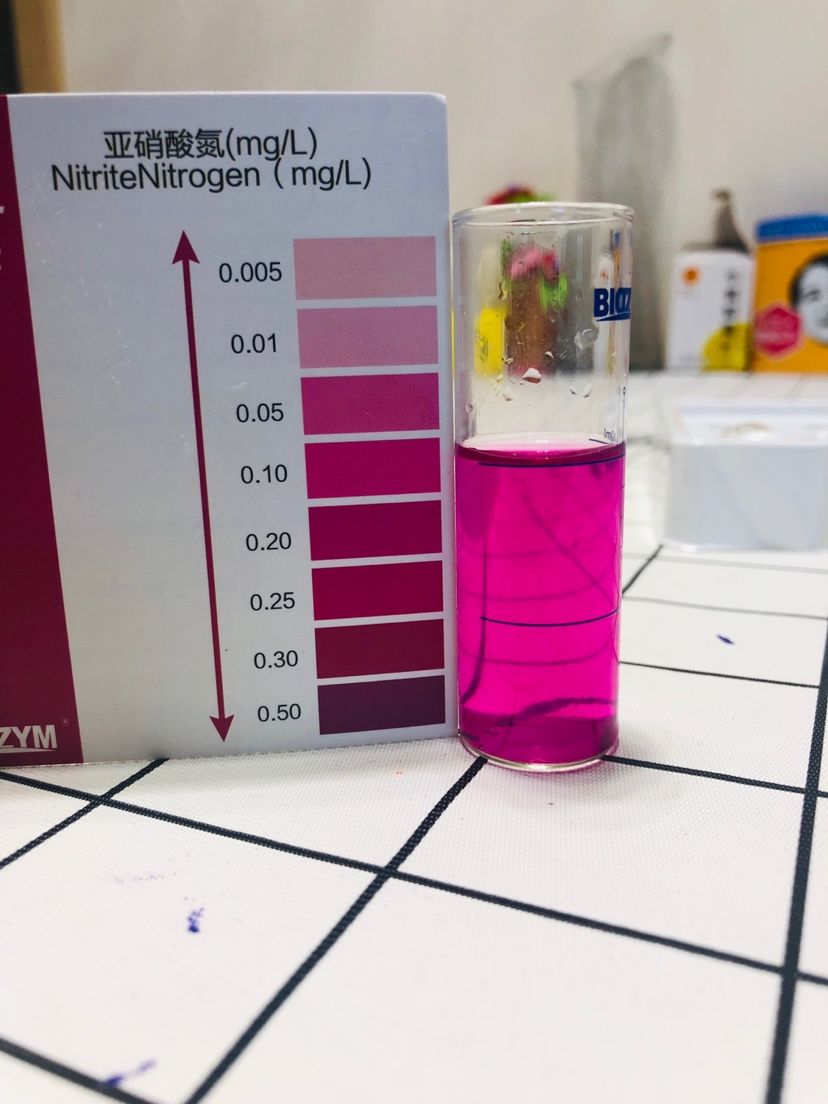 大家帮忙看看亚硝酸盐超标（开缸大概一个月了）