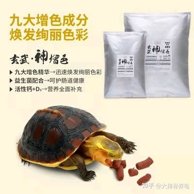 德彩龟粮怎么看真伪（如何辨别德彩龟粮的真伪） 其他宠物 第2张