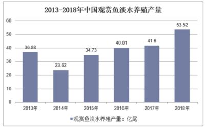 观赏鱼市场调查报告范文（观赏鱼市场市场调查报告范文）