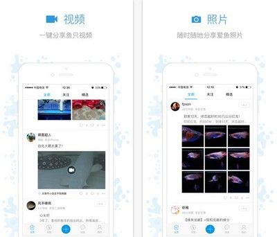 观赏鱼app（中国十大观赏鱼app推荐） 水族主题相关 第2张