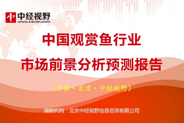 观赏鱼市场行情走势如何（观赏鱼市场前景如何？） 网上购买观赏鱼 第1张