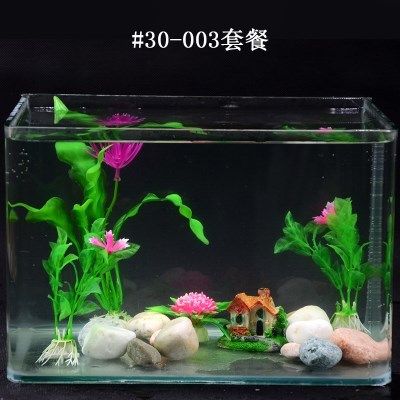 草金鱼缸布景图（草金鱼缸造景技巧） 泰庞海莲鱼 第1张