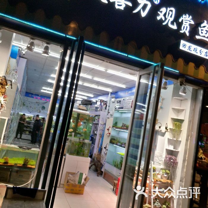 观赏鱼店加盟费多少钱一个月（加盟观赏鱼店需要多少钱） 铁甲武士 第2张