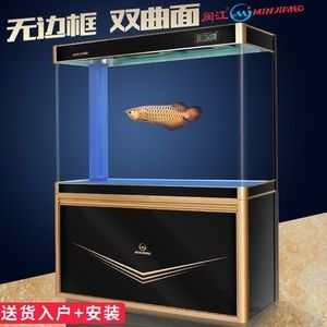 1米缸养龙鱼成功率高吗（1米的缸能养龙鱼吗） 祥龙水族滤材/器材 第3张