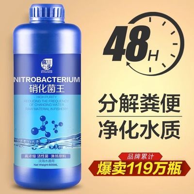 疯狂石头硝化细菌好吗（“疯狂石头”品牌的硝化细菌产品存在着不同的观点） 祥龙水族滤材/器材 第3张