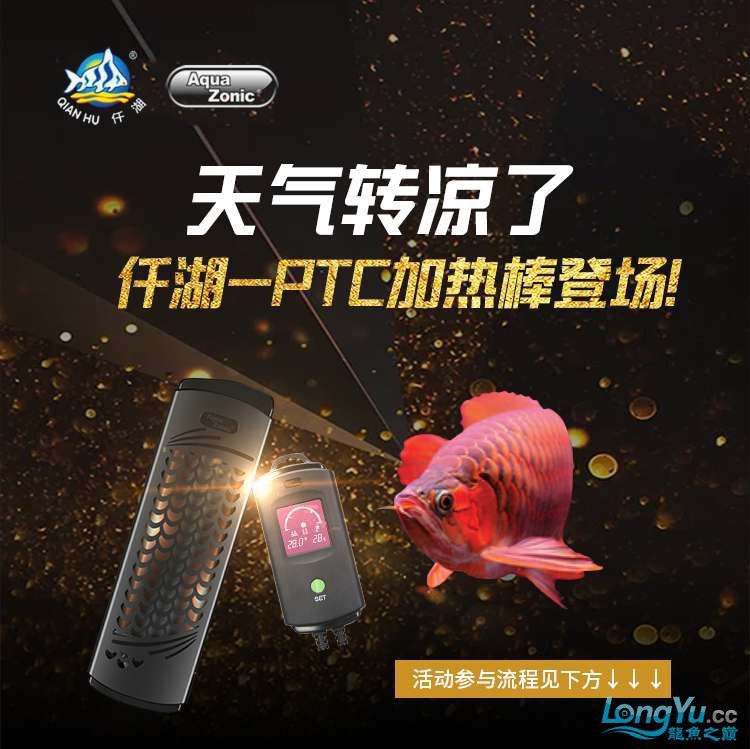 仟湖PTC加热棒试用反馈（中奖的鱼友们应该都收到ptc加热棒的奖品，抓紧体验哦） 观赏鱼论坛 第1张