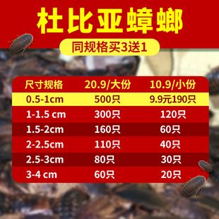 18厘米的龙鱼要吃多少饲料（18厘米的龙鱼一天喂多少比较合适？） 祥龙水族滤材/器材 第1张