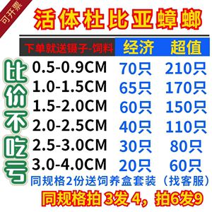 18厘米的龙鱼要吃多少饲料（18厘米的龙鱼一天喂多少比较合适？） 祥龙水族滤材/器材 第2张