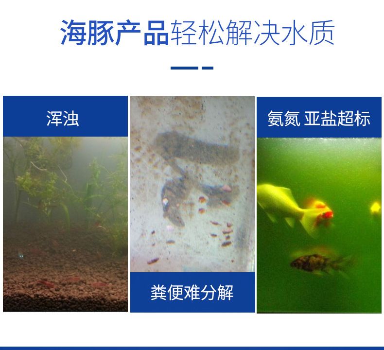 海豚硝化细菌怎么用（海豚硝化细菌使用方法） 祥龙水族滤材/器材 第1张