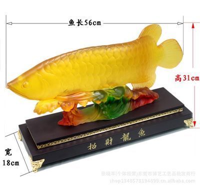 18厘米龙鱼喂什么（18厘米大小的龙鱼应该怎么养） 祥龙水族滤材/器材 第2张