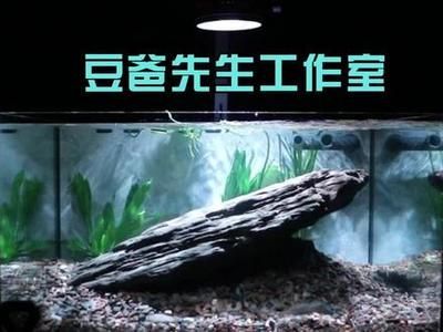 广州水鸦鱼缸（广州水鸦鱼缸公司）