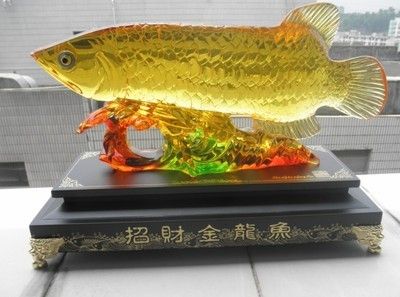 18升金龙鱼价格多少钱（常见金龙鱼价格信息） 祥龙水族滤材/器材 第3张