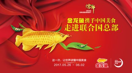 1000万的金龙鱼（世界上最昂贵的红金龙鱼） 祥龙水族滤材/器材 第1张