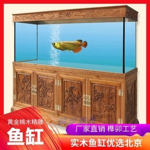 1.5米鱼缸养龙鱼（1.5米的鱼缸可以养龙鱼吗） 祥龙水族滤材/器材 第1张