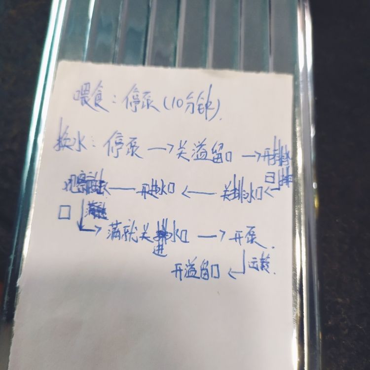 新手上路（第一次养鱼没有经验，全部从头开始，像鱼一样的记忆力）