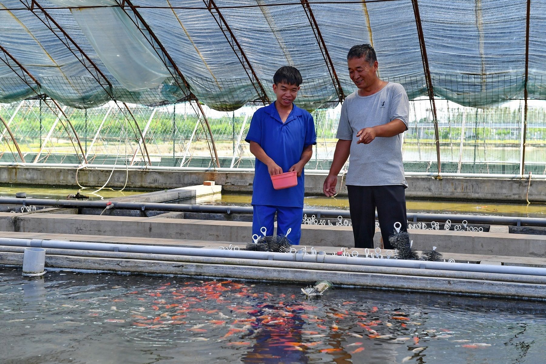 黑庄户观赏鱼批发市场（北京黑庄户观赏鱼批发市场） 水族维护服务（上门） 第1张