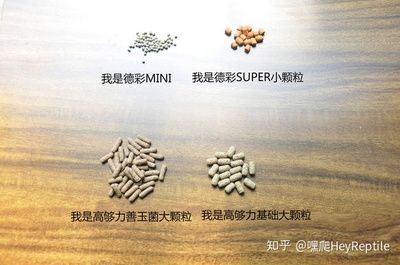 德彩龟粮有什么好（德彩龟粮有哪些优点） 眼斑鱼 第2张