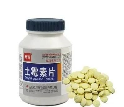 观赏鱼土霉素片用法（观赏鱼土霉素使用指南） 月光鸭嘴鱼苗 第1张