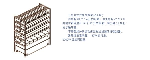 灯泡鱼鱼类（灯眼鱼是如何控制发光器的开关灯眼鱼是如何开关的）