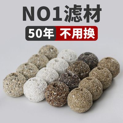 no1硝化细菌是一线品牌？（关于硝化细菌的问题） 三色锦鲤鱼 第1张