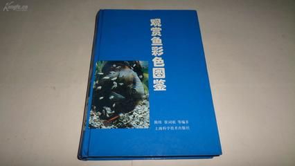 观赏鱼拍卖网（如果你想参与观赏鱼的拍卖） 进口元宝凤凰鱼 第4张