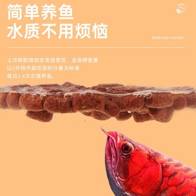 YEE龙鱼鱼粮（yee品牌龙鱼鱼粮） 巴西亚鱼 第2张