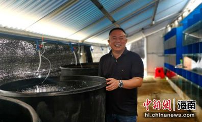 海南观赏鱼协会官网网站（海南观赏鱼产业发展趋势）