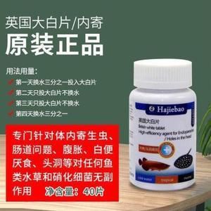 观赏鱼大白片怎么用（大白片使用方法和注意事项） 肺鱼 第2张