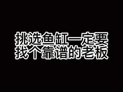 观赏鱼搞笑视频（关于观赏鱼的搞笑视频） 水族维护服务（上门） 第3张