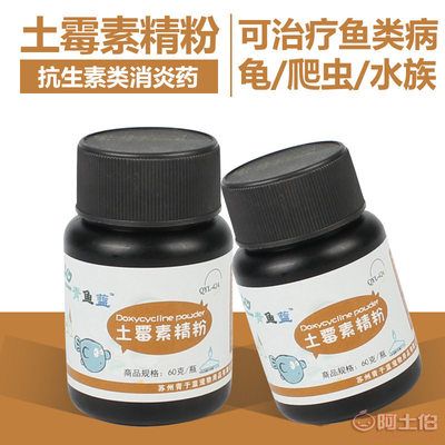 观赏鱼得肠炎用什么药效果最好（治疗观赏鱼肠炎的药物） 肺鱼 第3张