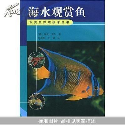 常见海水观赏鱼（什么是热带海水观赏鱼） 金三间鱼 第3张