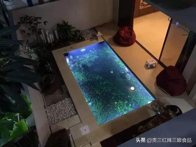 花鲢鱼缸怎么养水草（水草种植与管理）