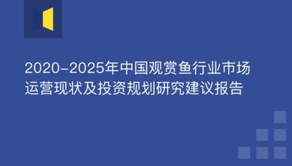 观赏鱼产业发展现状综述报告（观赏鱼产业发展前景广阔）