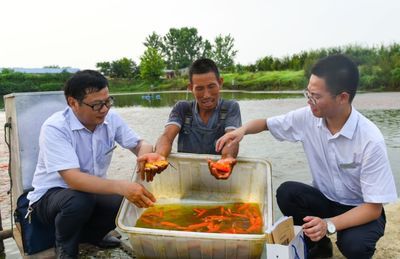 观赏鱼行业亏损（观赏鱼行业亏损风险更加明显，观赏鱼行业利润相当可观） 巴卡雷龙鱼 第4张