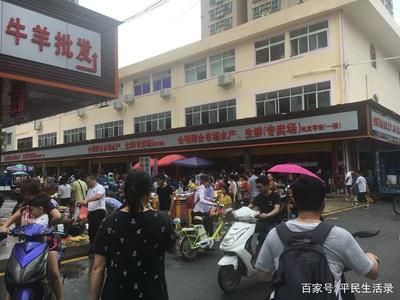 公明水族批发市场在哪里啊（深圳公明水族批发市场） 水族用品 第3张