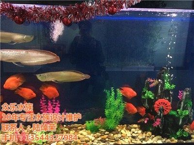 花都水族批发市场在哪里有（广州花都地区的水产品批发市场） 鱼缸/水族箱 第3张