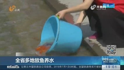 放鱼养水（放鱼养水是一种可持续发展的重要性生物多样性保护的重要性）